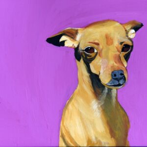 Dog on Purple Background