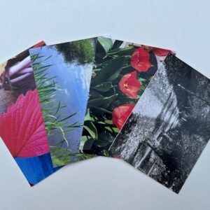 Nature Through A Lens Card Collection